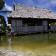 An abandoned house that is affected by seawater during high-tides stands next to a small lagoon near the village of Tangintebu on South Tarawa in the central Pacific island nation of Kiribati May 25, 2013. Kiribati consists of a chain of 33 atolls and islands that stand just metres above sea level, spread over a huge expanse of otherwise empty ocean. With surrounding sea levels rising, Kiribati President Anote Tong has predicted his country will likely become uninhabitable in 30-60 years because of inundation and contamination of its freshwater supplies. Picture taken May 25, 2013. REUTERS/David Gray
